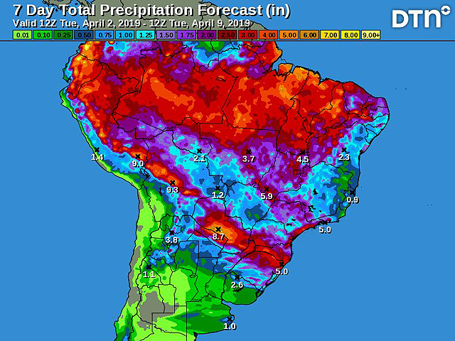 The seven-day total precipitation forecast for South America indicates episodes of scattered showers and thunderstorms in Brazil. (DTN graphic)